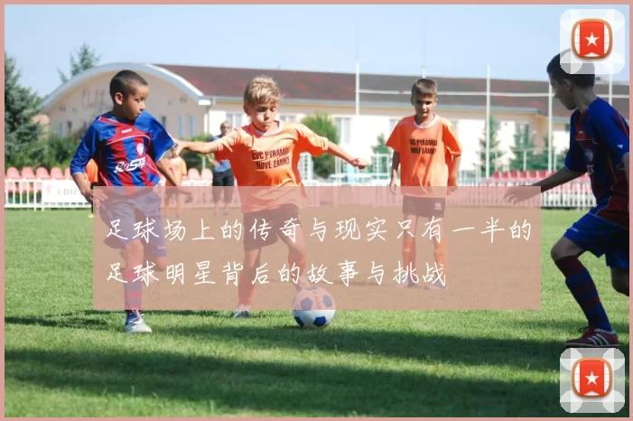 足球场上的传奇与现实只有一半的足球明星背后的故事与挑战