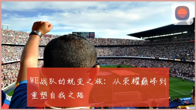 WE战队的蜕变之旅：从荣耀巅峰到重塑自我之路