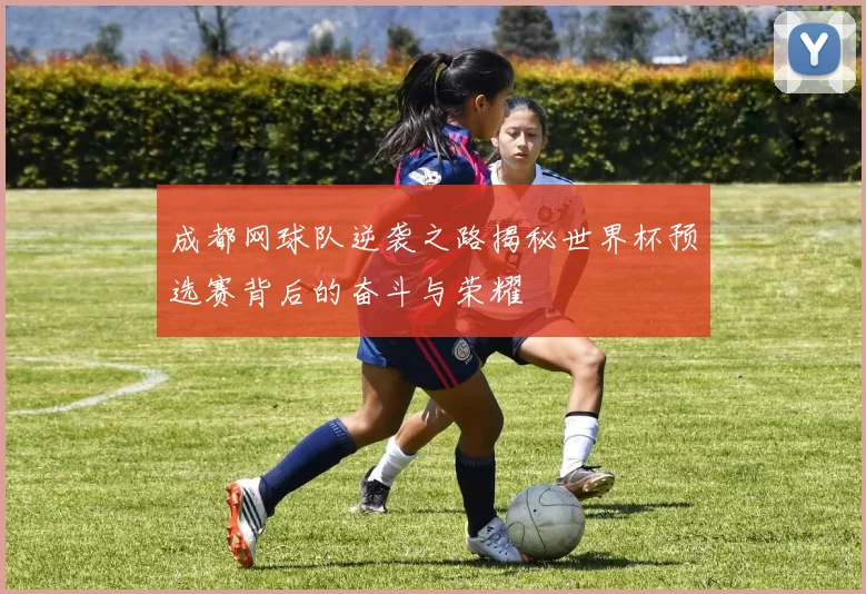 成都网球队逆袭之路揭秘世界杯预选赛背后的奋斗与荣耀