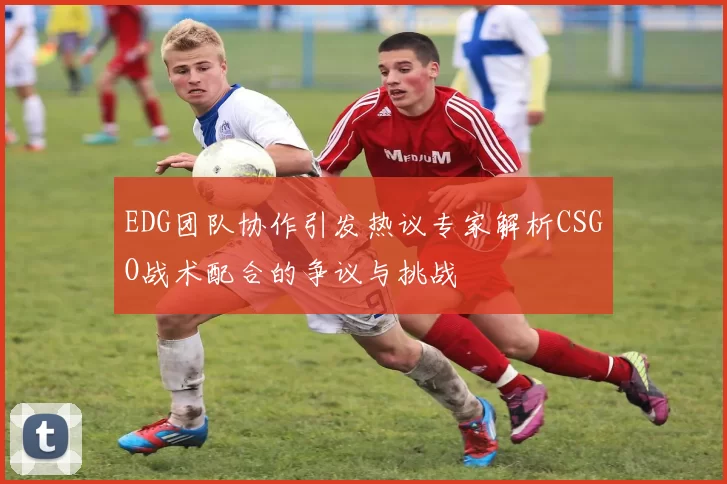 EDG团队协作引发热议专家解析CSGO战术配合的争议与挑战