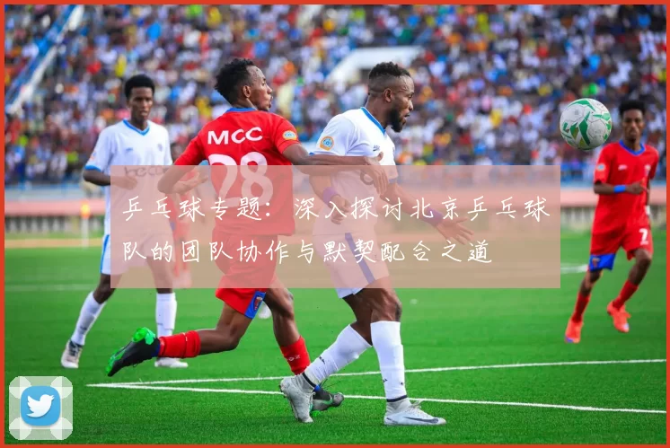 乒乓球专题：深入探讨北京乒乓球队的团队协作与默契配合之道