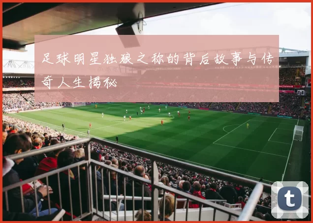 足球明星独狼之称的背后故事与传奇人生揭秘