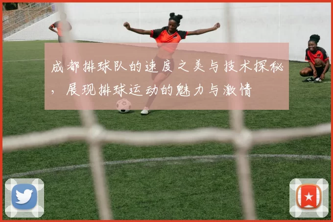 成都排球队的速度之美与技术探秘，展现排球运动的魅力与激情