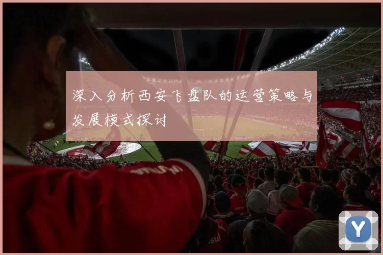 深入分析西安飞盘队的运营策略与发展模式探讨