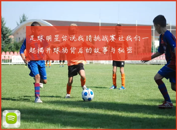 足球明星你说我猜挑战赛让我们一起揭开球场背后的故事与秘密