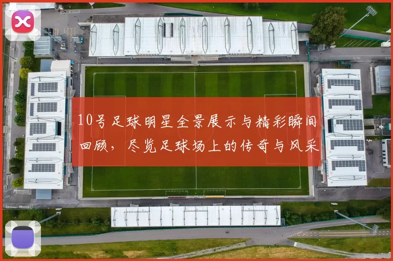 10号足球明星全景展示与精彩瞬间回顾，尽览足球场上的传奇与风采