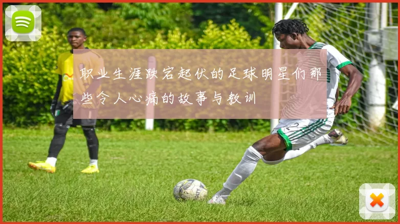 职业生涯跌宕起伏的足球明星们那些令人心痛的故事与教训