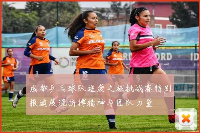 成都乒乓球队逆袭之旅挑战赛特别报道展现拼搏精神与团队力量
