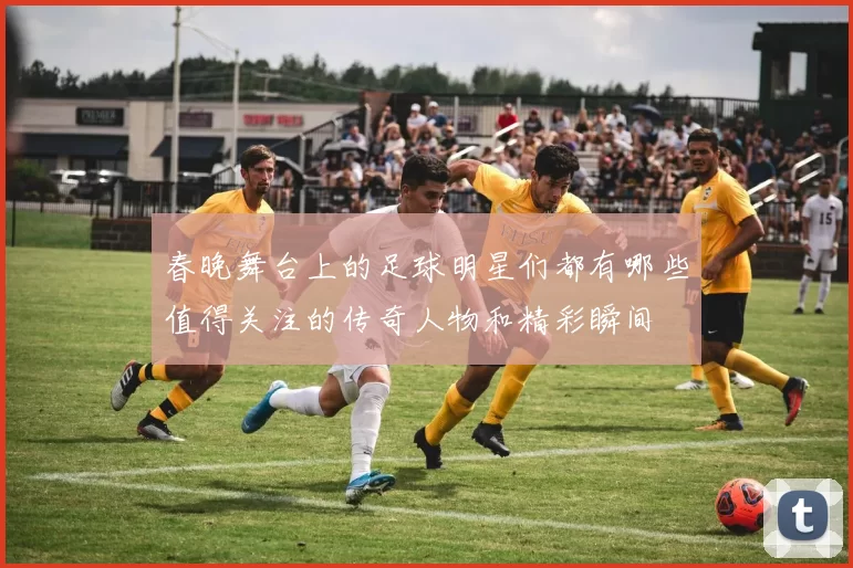 春晚舞台上的足球明星们都有哪些值得关注的传奇人物和精彩瞬间