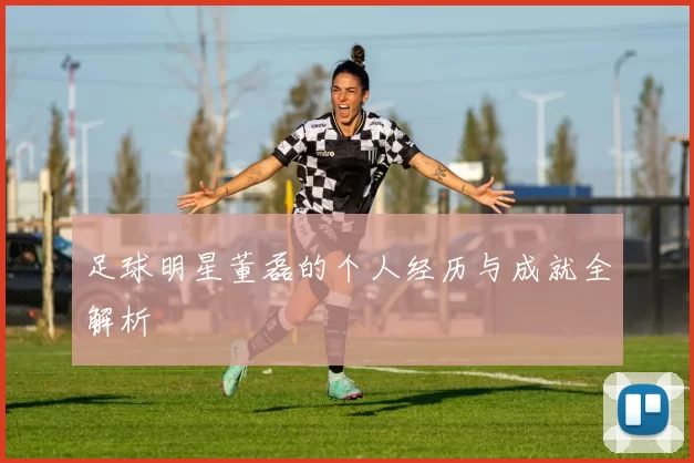 足球明星董磊的个人经历与成就全解析