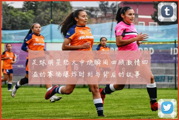 足球明星怒火中烧瞬间回顾激情四溢的赛场爆炸时刻与背后的故事